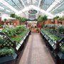 Photo of Stewarts Christchurch Garden Centre