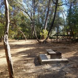 Whiskeytown Marinas - One of our many Campsites available for reservations.
Non-shoreline: $35.62 after tax a night.