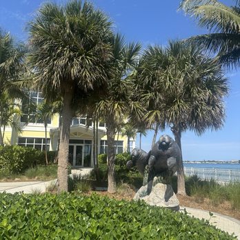 Manatee Lagoon - Aquariums Near Me - West Palm Beach, Florida Manatee Lagoon - Aquariums Near Me - West Palm Beach, Florida