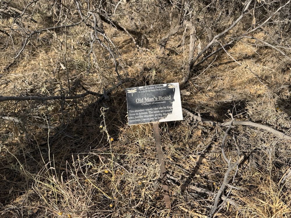 I-20 Wildlife Preserve & Jenna Welch Nature Study Center