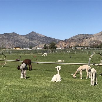 Crescent Moon Ranch - Ranches Near Me - Terrebonne, Oregon Crescent Moon Ranch - Ranches Near Me - Terrebonne, Oregon