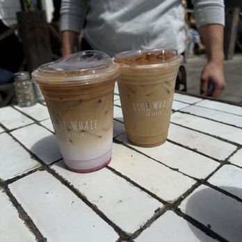 Blue Whale - Sunshine latte and tres leches latte - Cafes Near Me - La Jolla, California Blue Whale - Sunshine latte and tres leches latte - Cafes Near Me - La Jolla, California