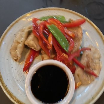 Audubon Boston - Potstickers with lots of veggies - American Near Me - Boston, Massachusetts