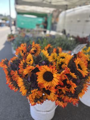La Mesa Village Farmers Market by null