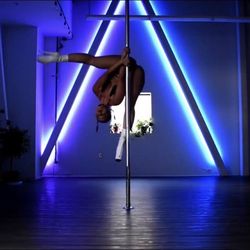Black Widow Pole Arts