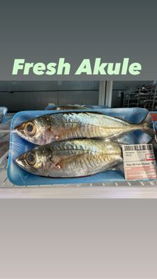 Pier 38 Fish Market by null