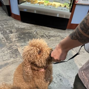 Three Dog Bakery - Rice Village - Pet Stores Near Me - Houston, Texas Three Dog Bakery - Rice Village - Pet Stores Near Me - Houston, Texas