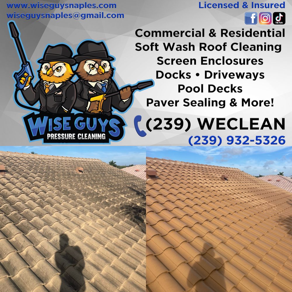 Slide of Wise Guys Pressure Cleaning