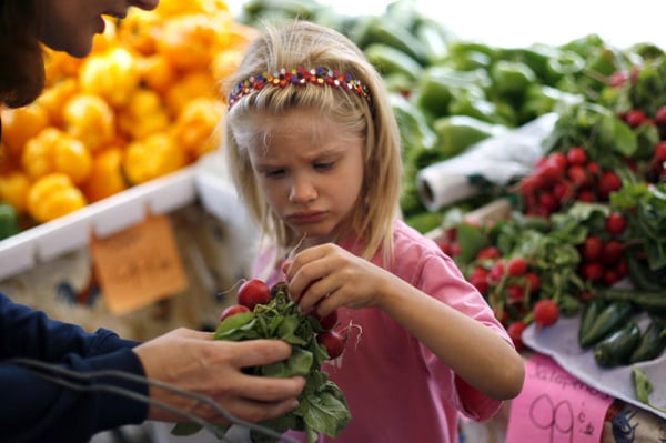 Gulfport Tuesday Fresh Market by null
