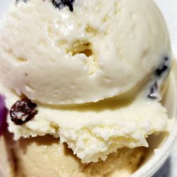 Royal Scoop Homemade Ice Cream - Berkshire Commons - RUM RAISIN & BUTTER PECAN
