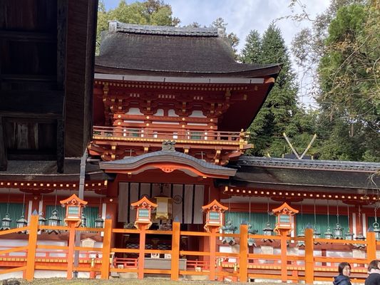 Kasugataisha Shrine by null