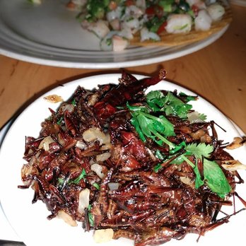 Kie Gol Lanee - Fried grasshoppers! - Mexican Near Me - Chicago, Illinois Kie Gol Lanee - Fried grasshoppers! - Mexican Near Me - Chicago, Illinois