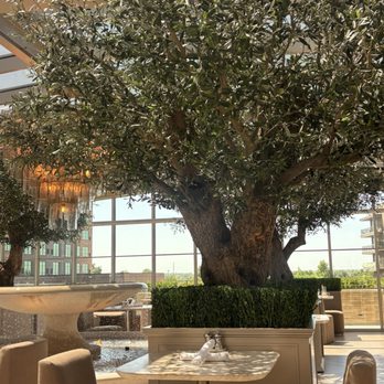 RH Rooftop Restaurant at RH Oklahoma City - Breakfast & Brunch Near Me - Oklahoma City, Oklahoma