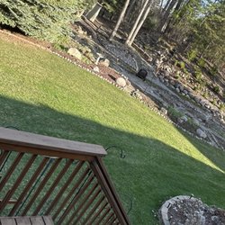 Schmidt & Son Lawn Care - Finished work done, exceptional!