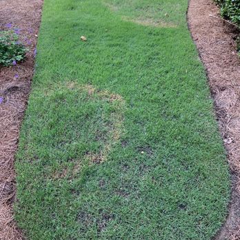 TruGreen Lawn Care - Stripes. No bueno. - Tree Services Near Me - Suwanee, Georgia TruGreen Lawn Care - Stripes. No bueno. - Tree Services Near Me - Suwanee, Georgia