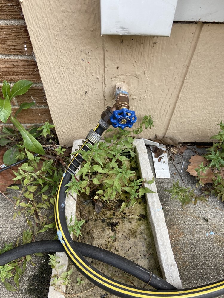 Slide of The Fair Plumber