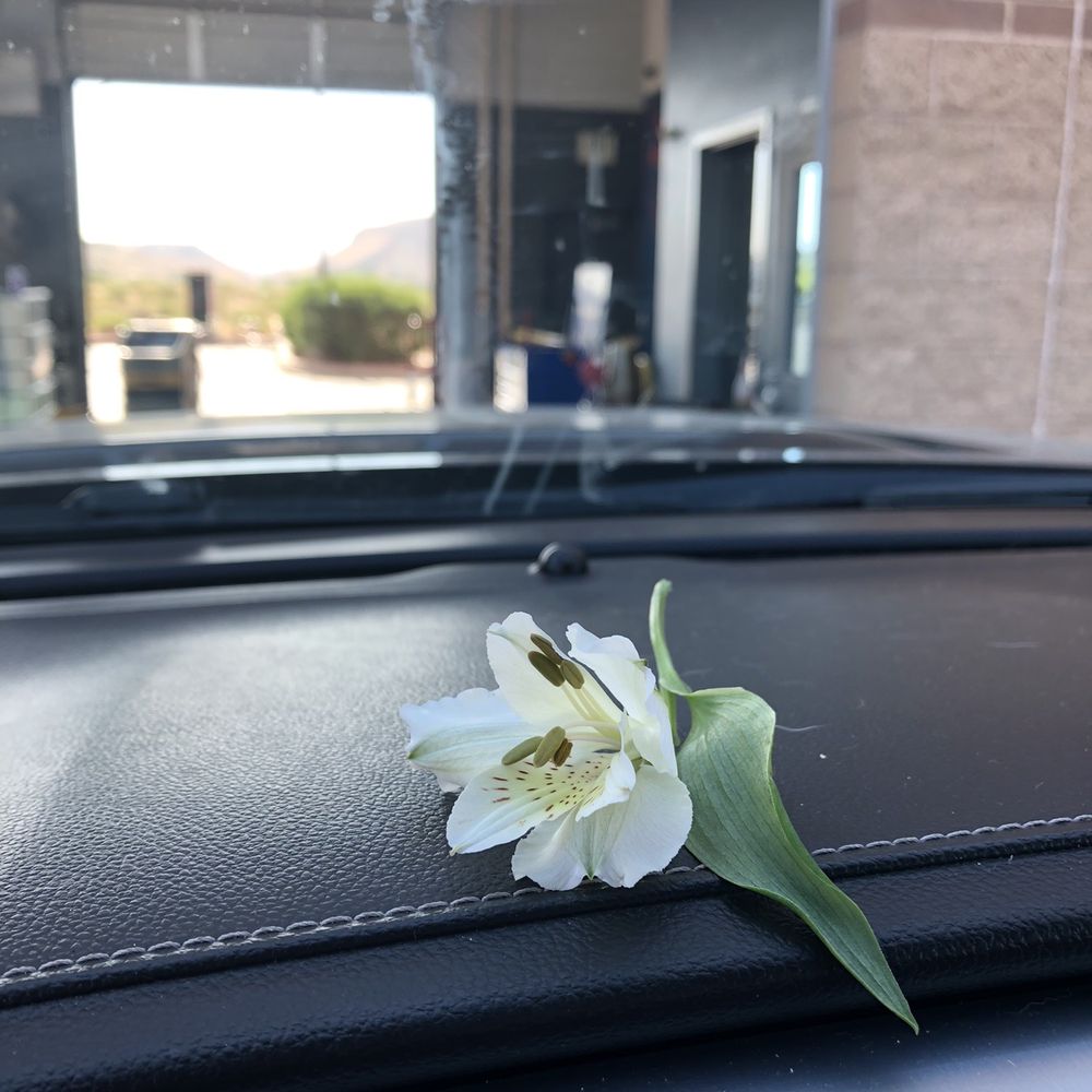 Grease Monkey - Flower left on dash for me! - Auto Repair Near Me - St. George, Utah