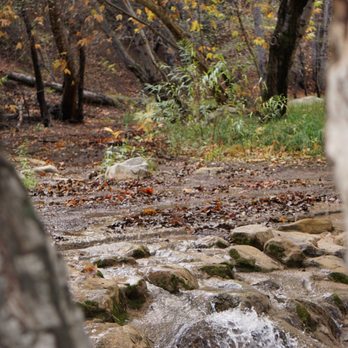 Wheeler Gorge Campground - Campgrounds Near Me - Ojai, California Wheeler Gorge Campground - Campgrounds Near Me - Ojai, California
