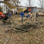 Photo of Ascend Tree Services