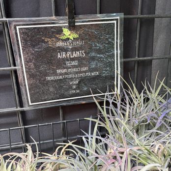 Jordan's Jungle - Nurseries & Gardening Near Me - Pawtucket, Rhode Island