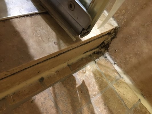 Hôtel Brossard by null