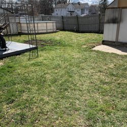 Tim's Grass Cutting Service - Spring Clean-up