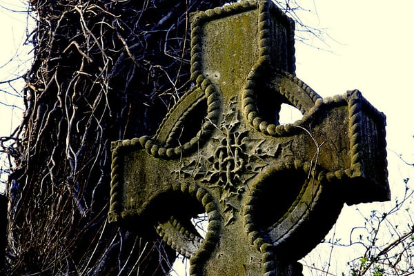Abney Park Cemetery Trust by null