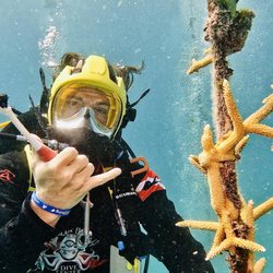 Black Flag Dive Center
