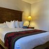 Antler Inn gift card