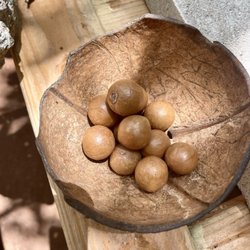 Purdy's Natural Macadamia Nut Farm