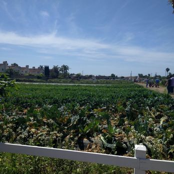 Smith Farms - Fruits & Veggies Near Me - Fountain Valley, California Smith Farms - Fruits & Veggies Near Me - Fountain Valley, California