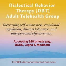 Tidemark Intervention Services