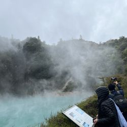 Waimangu Volcanic Valley
