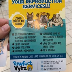 Pawfect Vybz