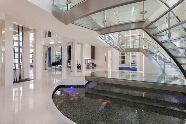 Jellyfish Art by null