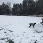 Photo of Queen Anne Bowl Playfield
