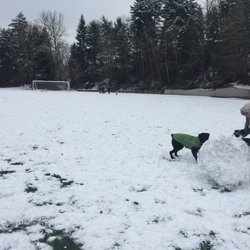 Queen Anne Bowl Playfield