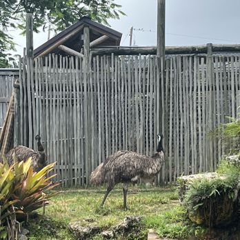 Everglades Alligator Farm - Zoos Near Me - Homestead, Florida Everglades Alligator Farm - Zoos Near Me - Homestead, Florida