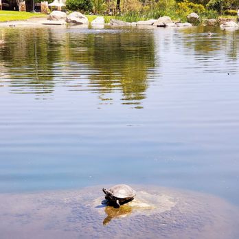 Webb Park - Parks Near Me - Rancho Bernardo, California