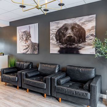 Village Veterinary Clinic - Veterinarians Near Me - Grayslake, Illinois Village Veterinary Clinic - Veterinarians Near Me - Grayslake, Illinois
