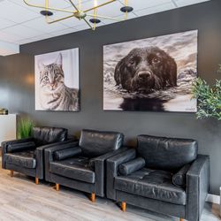 Village Veterinary Clinic