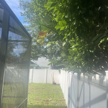 RWB Tree Care - Tree Services Near Me
