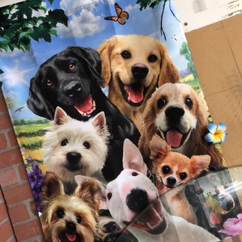 Ohana Pooch - Pet Groomers Near Me - Aiea, Hawaii