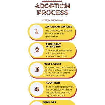 The Little Lion Foundation - Adoption process - Animal Shelters Near Me