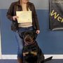 Photo of Canine Coach and Wellness