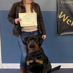 Canine Coach and Wellness