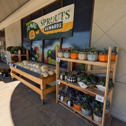 Sprouts Farmers Market - Pumpkins and plants by the entrance