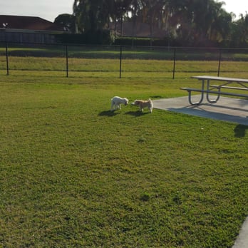 Bark Park - Dog Parks Near Me - Miami, Florida Bark Park - Dog Parks Near Me - Miami, Florida