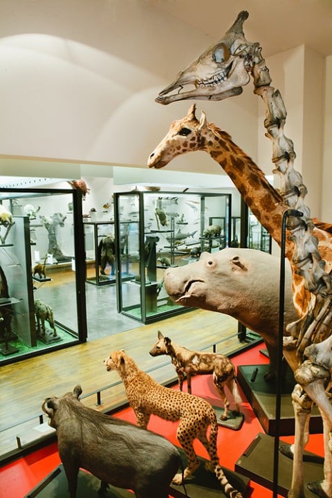 Muséum Aquarium de Nancy