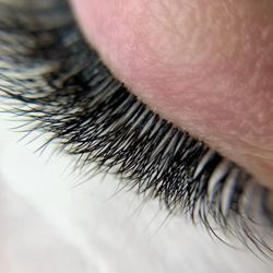 Premium Lashes 